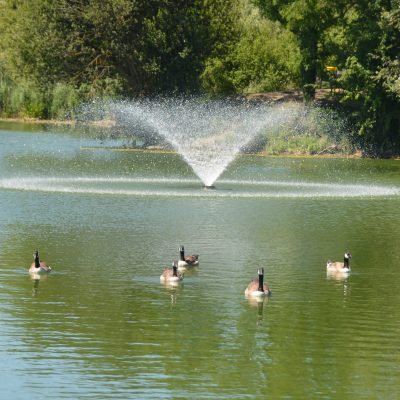 gesbert arrosage jets d'eau